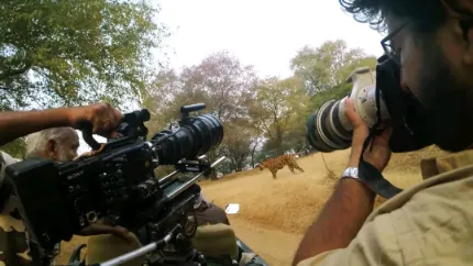 2014-ish, filming in Ranthambhore
