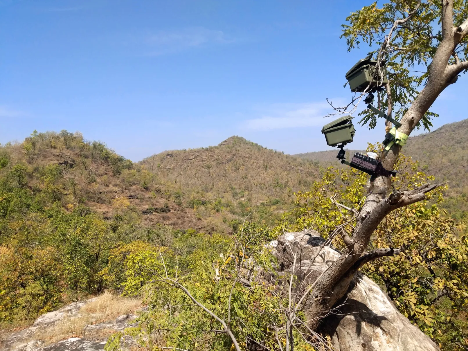 DSLR Camera Trapping