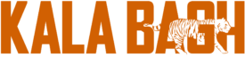 Kalabagh Films