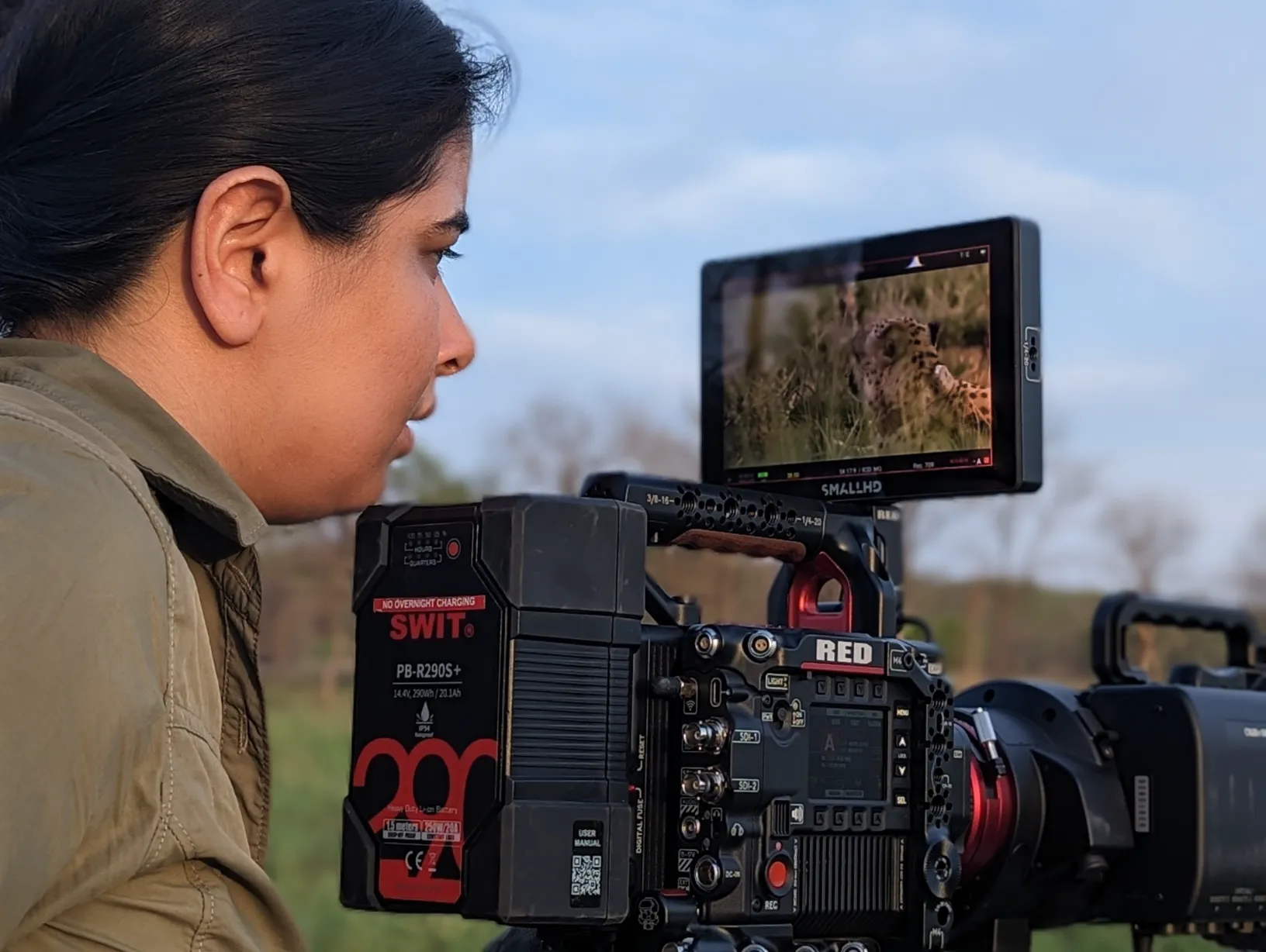 Filming spotty big cats