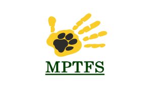 Untitled design - 2024-11-21T094454.648