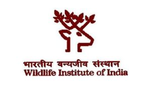 Untitled design - 2024-11-21T094625.156